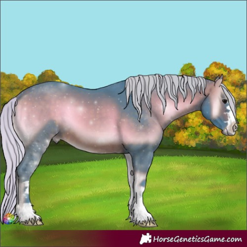 Horse Color:Watercolor Silver Brown Onyx