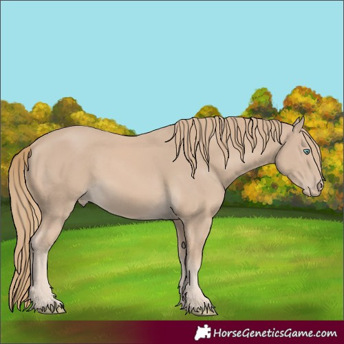 Horse Color:Smoky Creme 