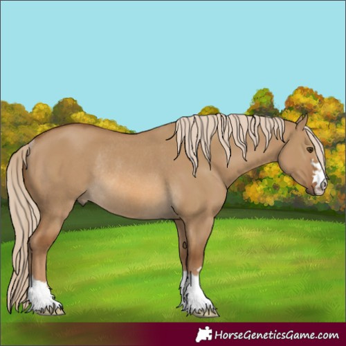 Horse Color:Chocolate Palomino Dun Rabicano 