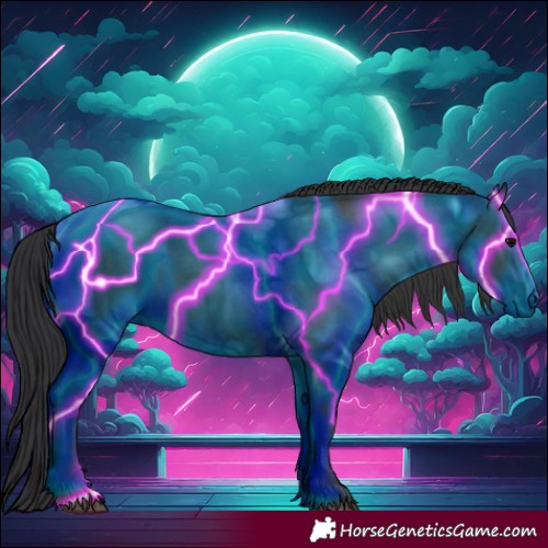 Horse Color:Black 