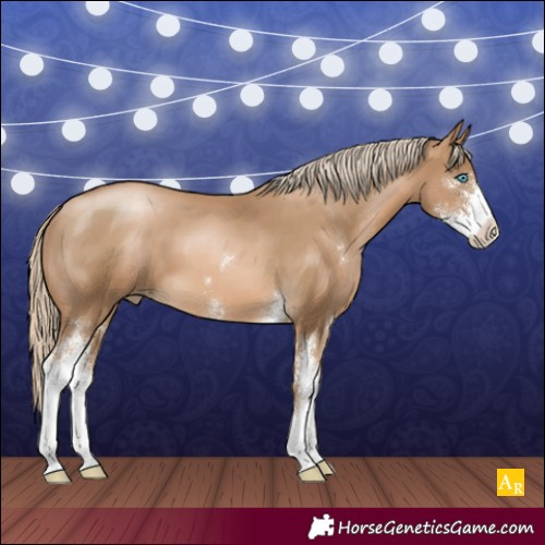 Horse Color:Chocolate Palomino Pearl Sabino 