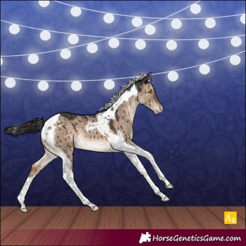 Horse Color:Brown Dun Tobiano Appaloosa Brindle 