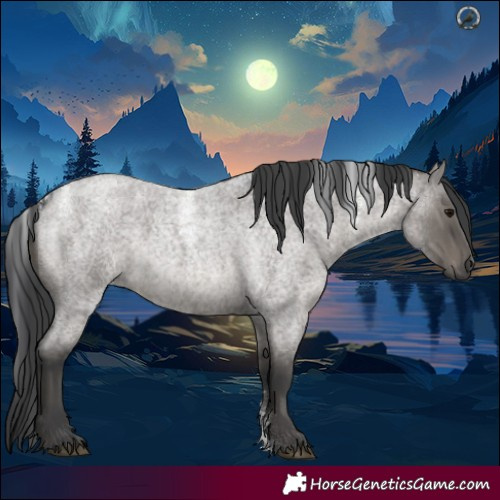 Horse Color:Powder White Platinum Grullo Roan Rabicano