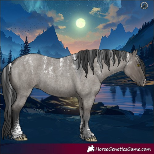 Horse Color:Powder White Grullo Roan Rabicano