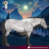 Horse Color:Platinum White Spotted Brown Roan Dun Rabicano 
