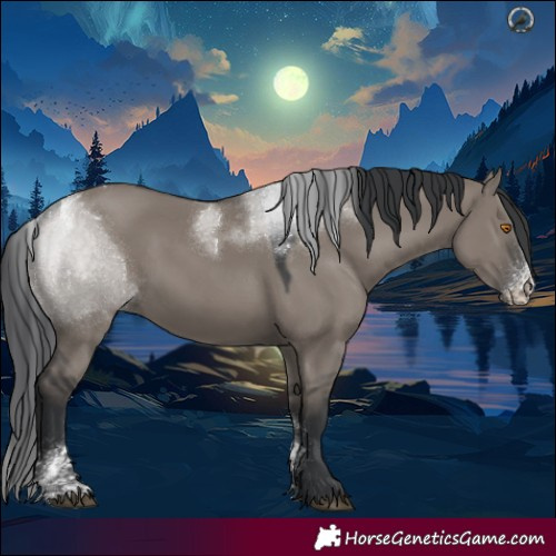 Horse Color:Powder White Platinum Grullo Sabino Rabicano 