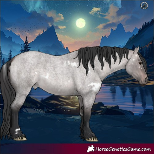 Horse Color:Platinum White Spotted Bay Roan Dun Rabicano