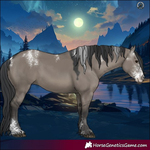 Horse Color:Powder White Grullo Sabino Rabicano