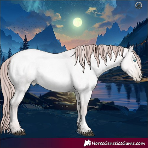 Horse Color:Powder White Platinum Brown Roan Snowdrop Pearl Dun Rabicano 