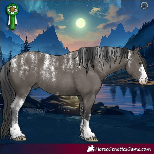 Horse Color:Powder White Grullo Sabino Rabicano 