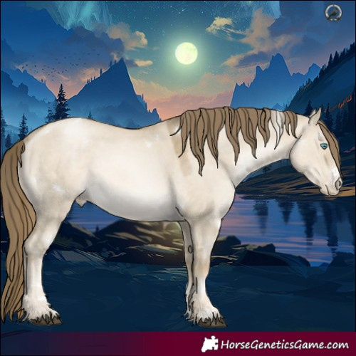 Horse Color:White Spotted Grullo Snowdrop Pearl Sabino Rabicano 