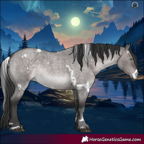 Horse Color:Platinum White Spotted Brown Roan Dun Rabicano