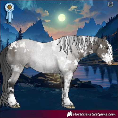 Horse Color:Platinum White Spotted Grullo Sabino Rabicano