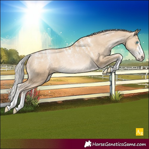 Horse Color:Powder White Silver Smoky Black Pearl Appaloosa Rabicano 