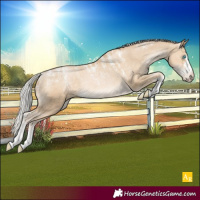 Horse Color:Powder White Silver Smoky Black Pearl Appaloosa Rabicano
