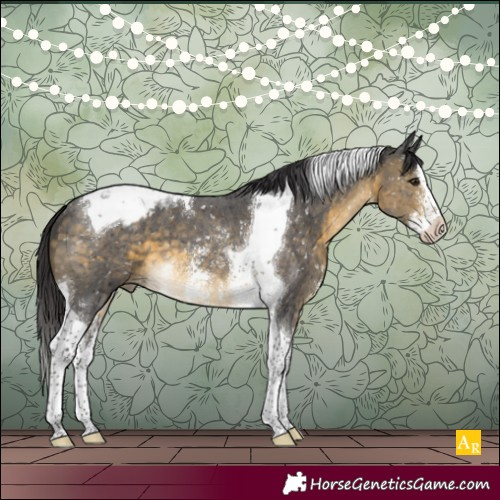 Horse Color:Buckskin Sabino Splash Tobiano Blanket 