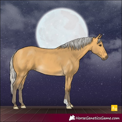 Horse Color:Silver Buckskin 