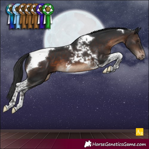 Horse Color:Brown Tobiano Blanket 