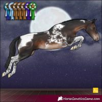 Horse Color:Brown Tobiano Blanket