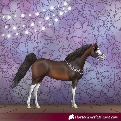 Horse Color:Brown Splash