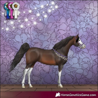 Horse Color:Brown Splash 
