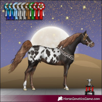 Horse Color:Liver Chestnut Blanket 