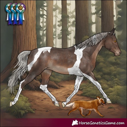 Horse Color:Silver Black Tobiano Varnish 