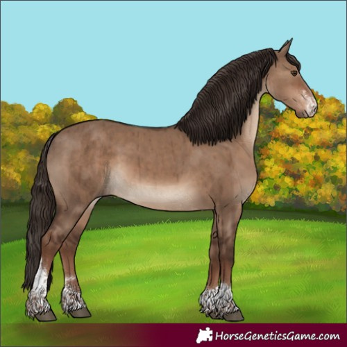 Horse Color:Liver Red Dun Sabino Tobiano Rabicano Brindle