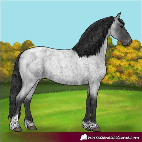 Horse Color:Blue Roan Tobiano Appaloosa Rabicano