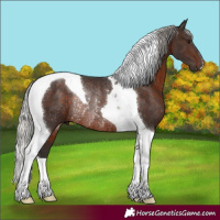 Horse Color:Silver Brown Tobiano Rabicano