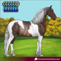 Horse Color:Silver Brown Tobiano Rabicano