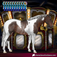 Horse Color:Silver Brown Tobiano Rabicano 