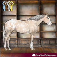 Horse Color:Silver Buckskin Pearl Sabino Blanket