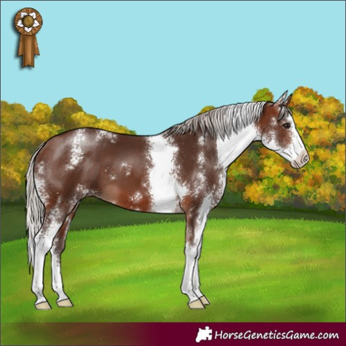 Horse Color:Silver Brown Sabino 