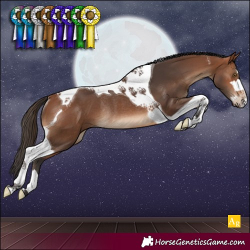 Horse Color:Bay Tobiano Rabicano 