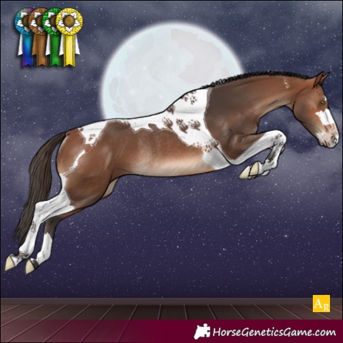 Horse Color:Bay Tobiano Rabicano 