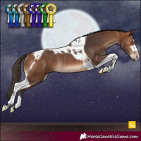 Horse Color:Bay Tobiano Rabicano 