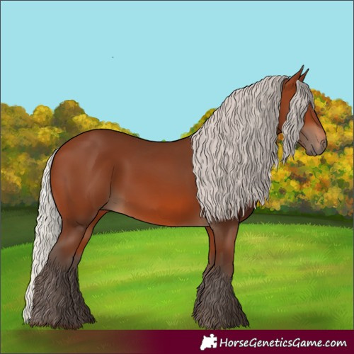 Horse Color:Silver Brown 