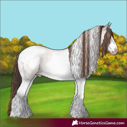 Horse Color:Classic Champagne Roan Dun Tobiano Frame Skewed Appaloosa Rabicano 