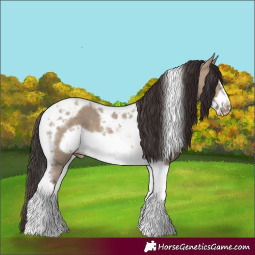 Horse Color:Brown Dun Tobiano Frame Skewed Appaloosa 