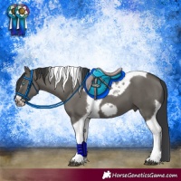 Horse Color:Grullo Tobiano Frame