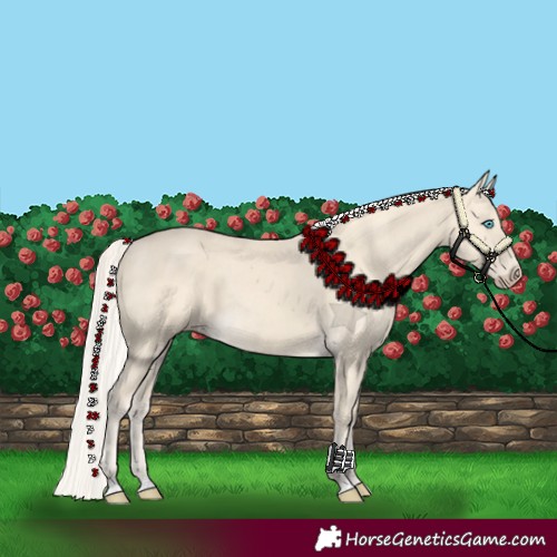 Horse Color:Cremello