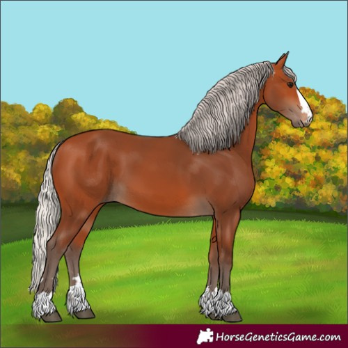 Horse Color:Silver Bay 