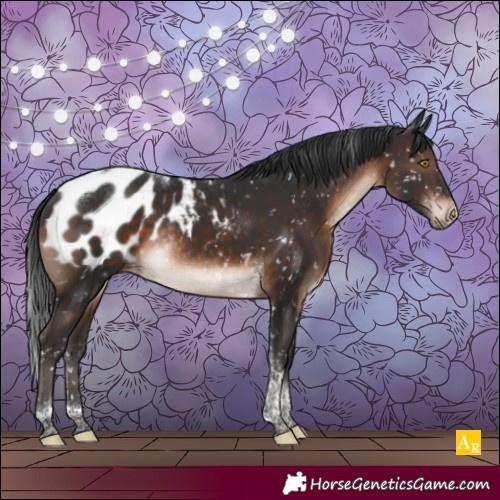 Horse Color:Brown Tobiano Blanket Rabicano 