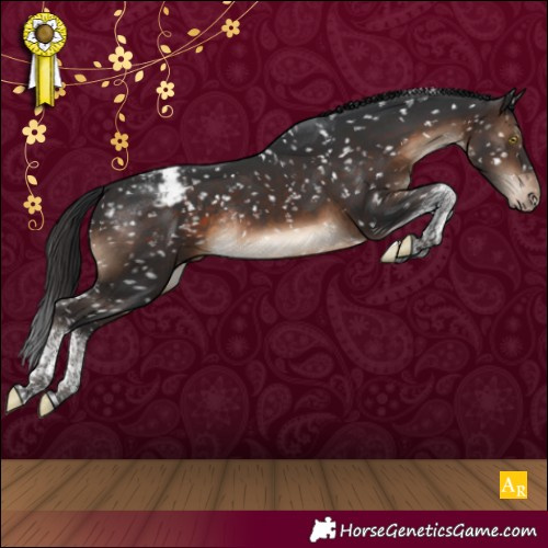 Horse Color:Brown Tobiano Snowcap Rabicano 