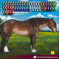 Horse Color:Brown Tobiano Varnish 