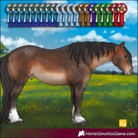 Horse Color:Brown Tobiano Varnish 