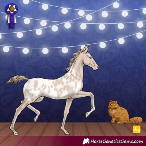 Horse Color:Smoky Creme Appaloosa