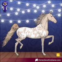 Horse Color:Smoky Creme Appaloosa 