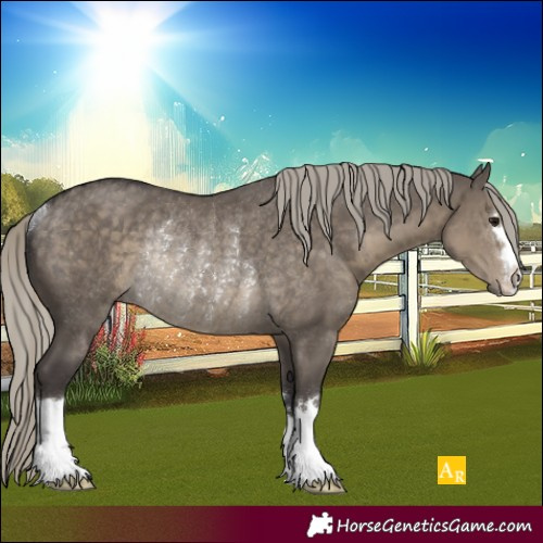 Horse Color:Silver Smoky Grullo Rabicano 